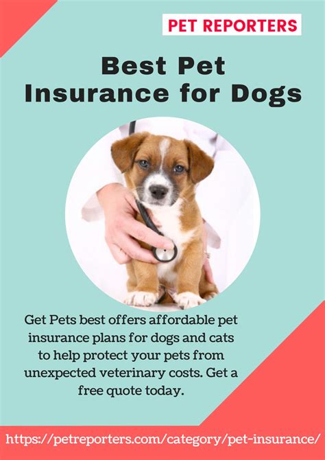 best pet insurance consumer reports.